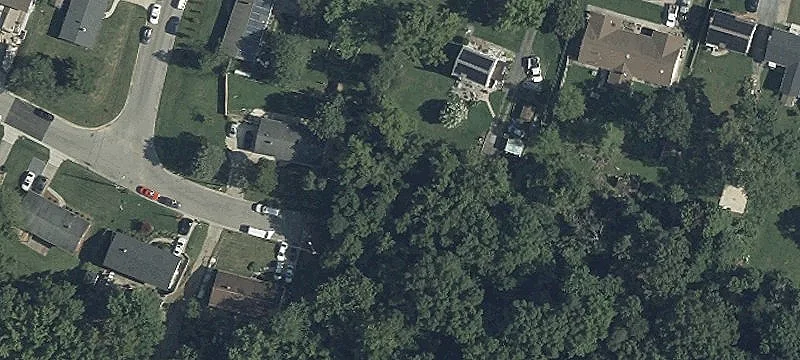 Land in Developing Forest Heights