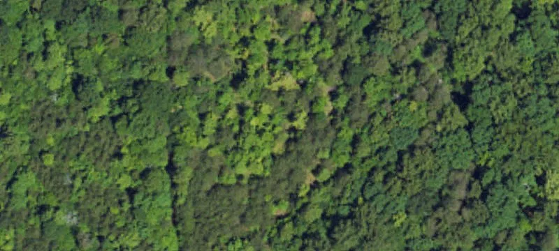 10-Acre Land with Utilities