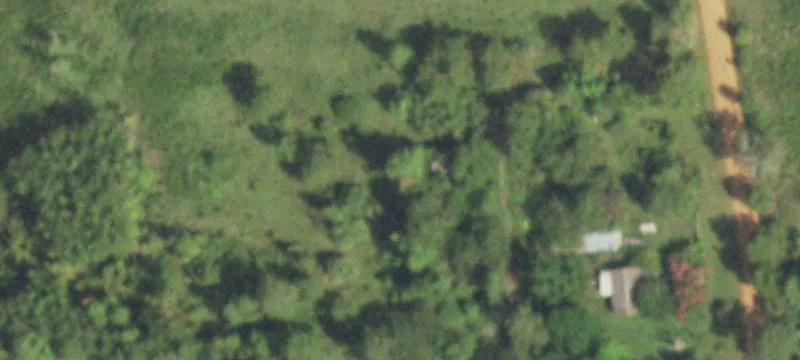 Wooded Acreage Tracts in Texas