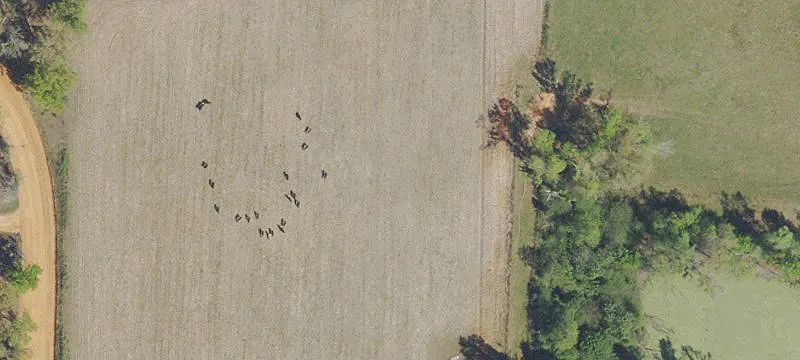 Residential Land in Alford, Florida