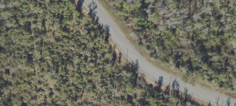 40 Acres Hunting Land Available