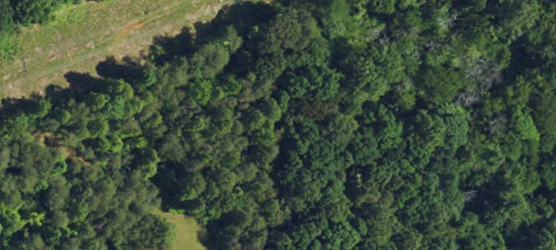 24.54 Acres Near I-40/I-85