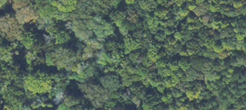 Covington Development Opportunity: 9.052 Acres