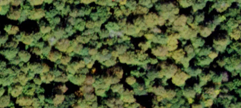 223 Acres Hudson Valley Sanctuary