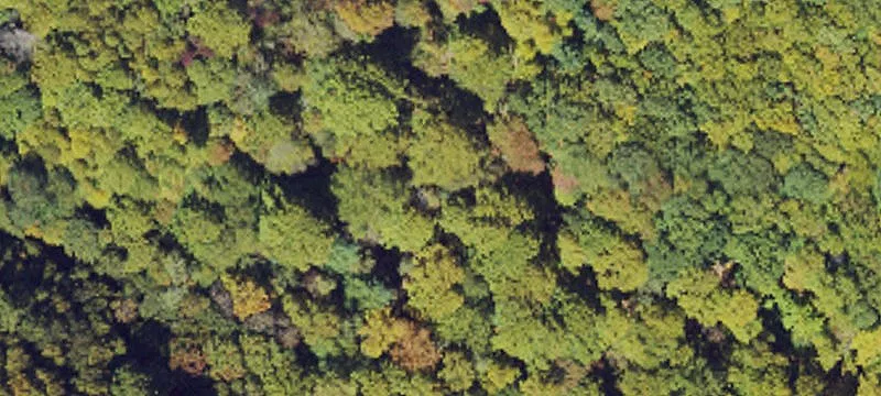 143 Acres Near Pond Mountain