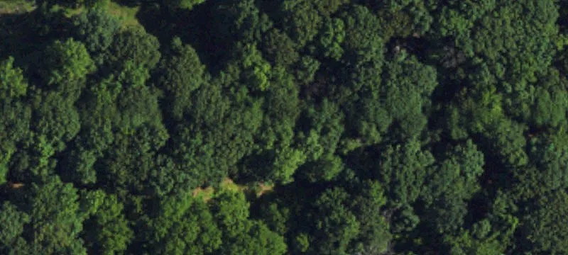 Equine Estate with Development Potential