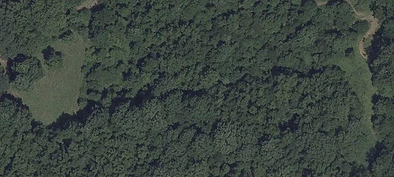 Land in Park-Like Setting