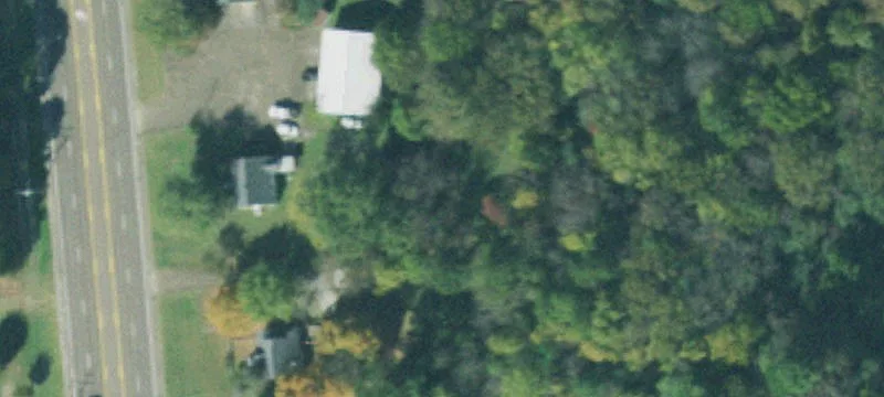 Lexington Commercial Nursery Opportunity