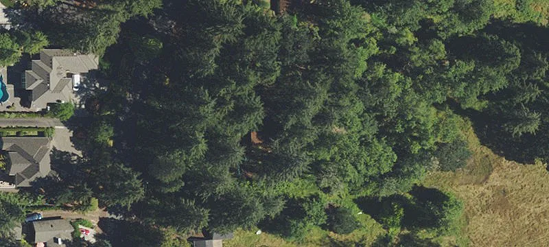 Lake Oswego Build-to-Suit Homesite