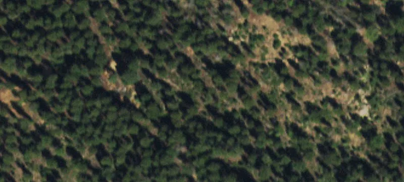 Colorado Mountain Land Opportunity