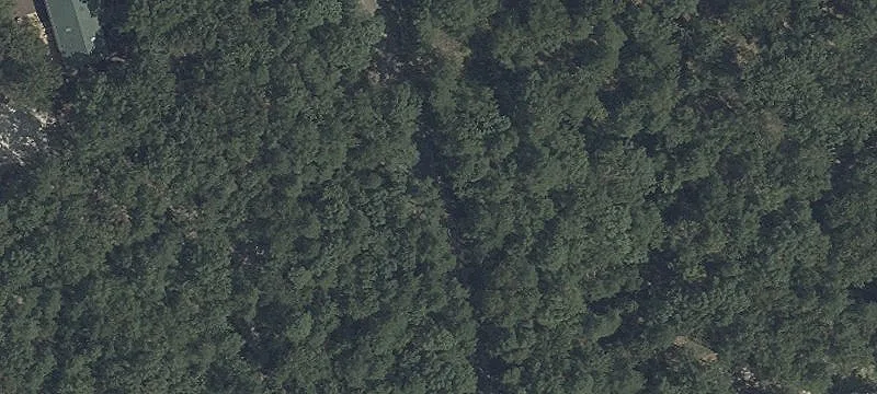 Residential Land Surrounded by Nature