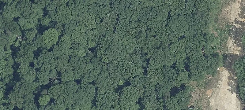 Wooded Lot Ready to Build
