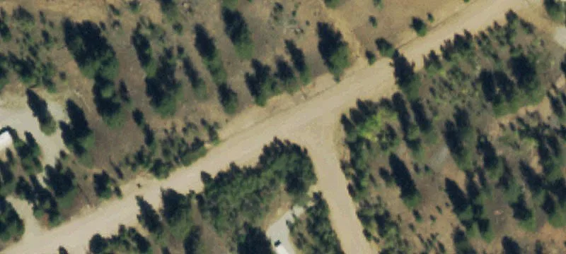 Treed Lot Near Trout Creek