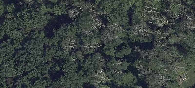 Wooded Land Parcel For Sale