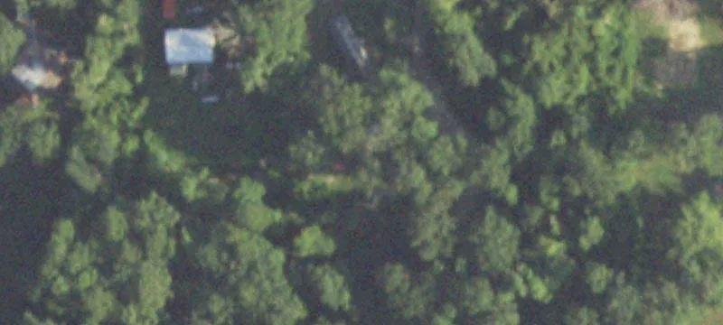 Lush Wooded Land For Sale