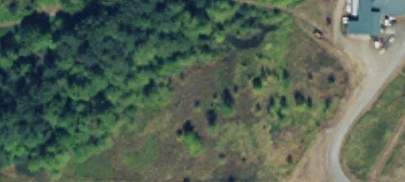 Cougar Mountain Airstrip Parcel