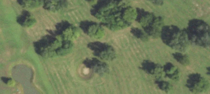 Residential Land with Mature Trees