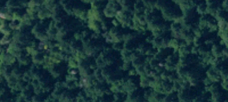 Vacant Land Near Totten Inlet