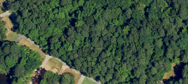 Wooded Lot in Gated Community