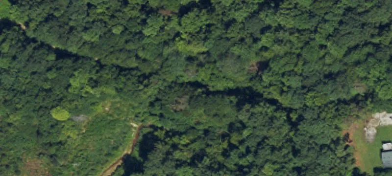 Holly Springs Acreage: Home/Business Site