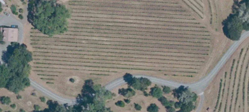 Sonoma County Vineyard Estate