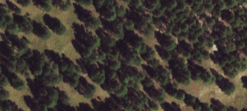 10 Acre Parcel Near Elizabeth