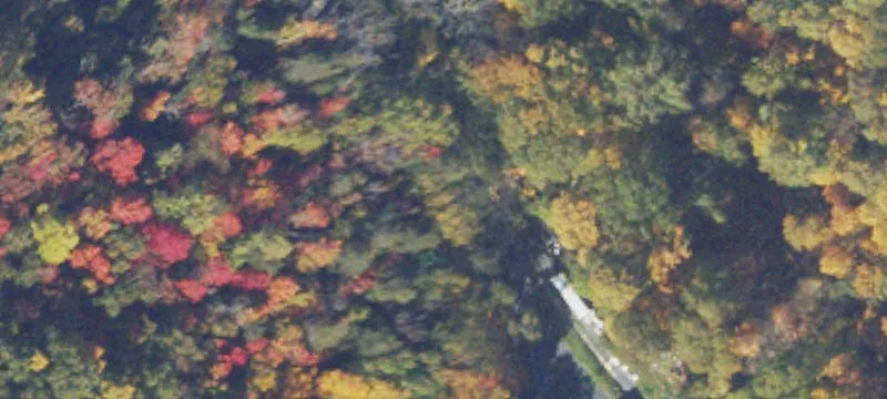 Wooded Home Building Site
