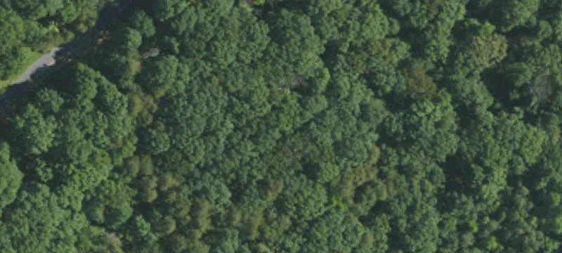 High Rock Mountain Sloped Lot