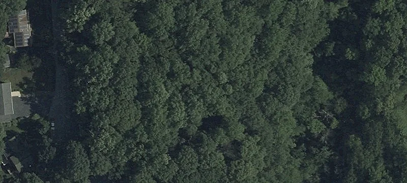 Raw Land For Sale