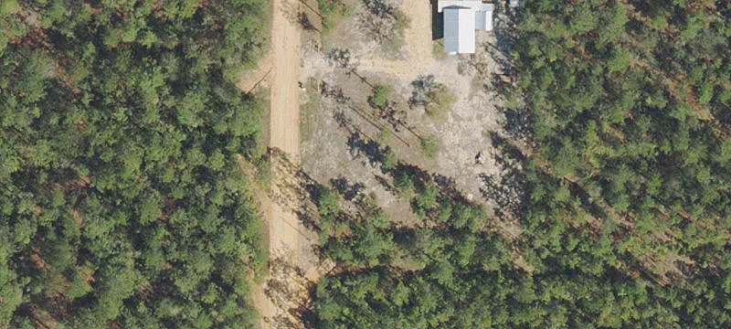 Wooded Lots in Great Location