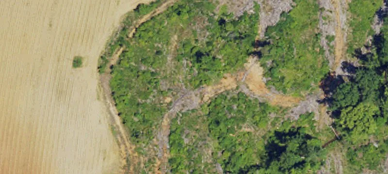 80.55 Acres Development Opportunity