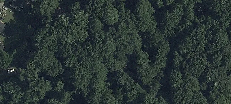 Unimproved Land For Sale
