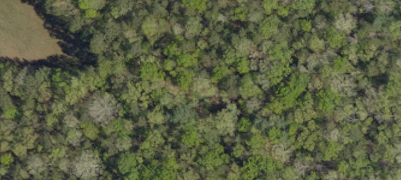 38 Acres Near Charlotte