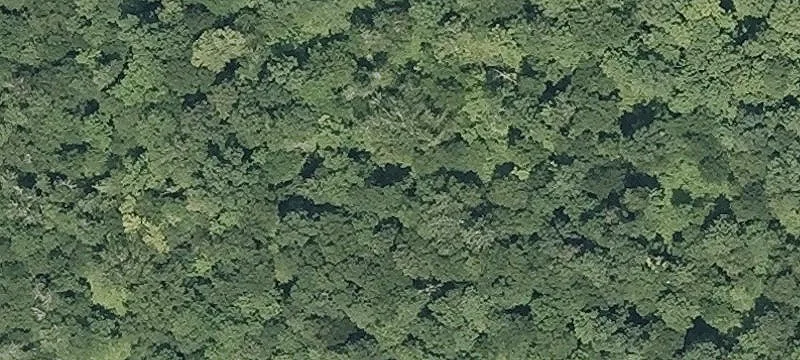30+ Acre Commercial Land Parcel