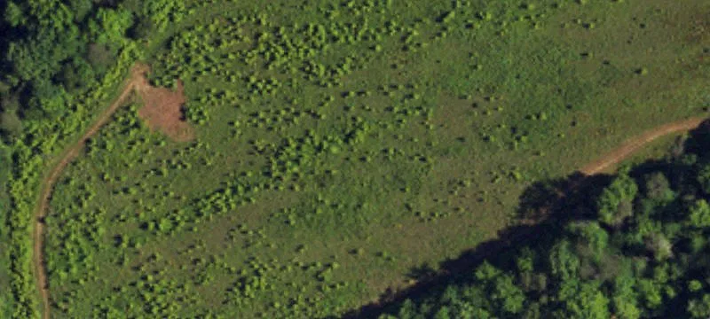 Colfax Land Development Opportunity