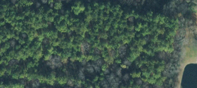 37 Acres Developable Land