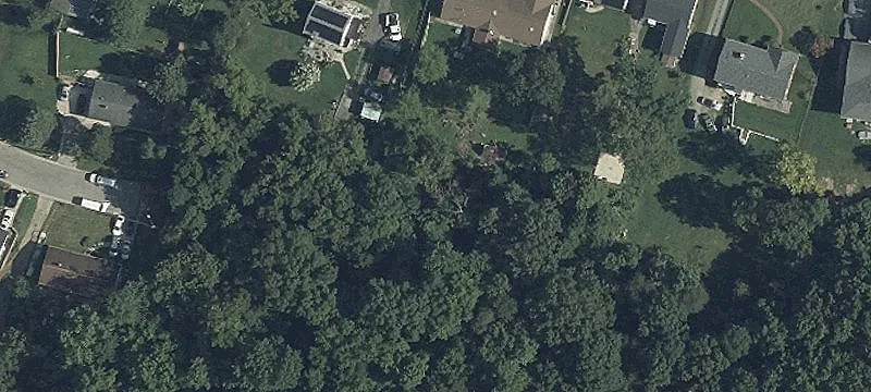 Land in Developing Forest Heights