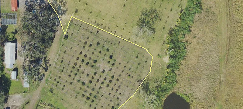 Bradenton Land with Fruit Ranch