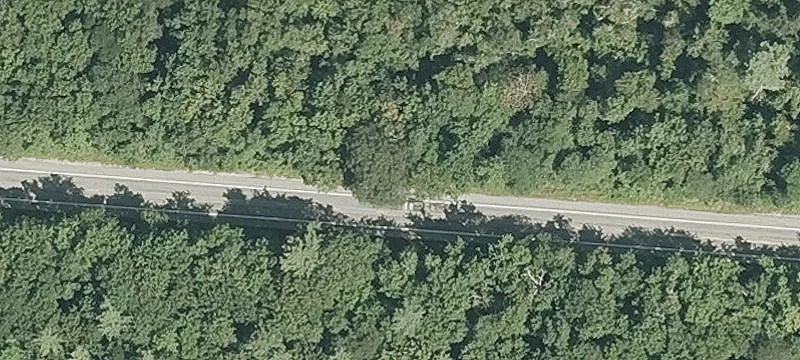 Cumberland Wooded Parcel For Sale
