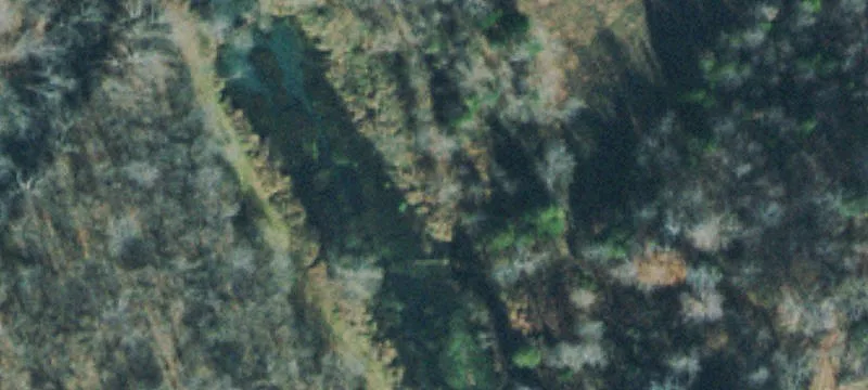 85+ Acres Development Opportunity