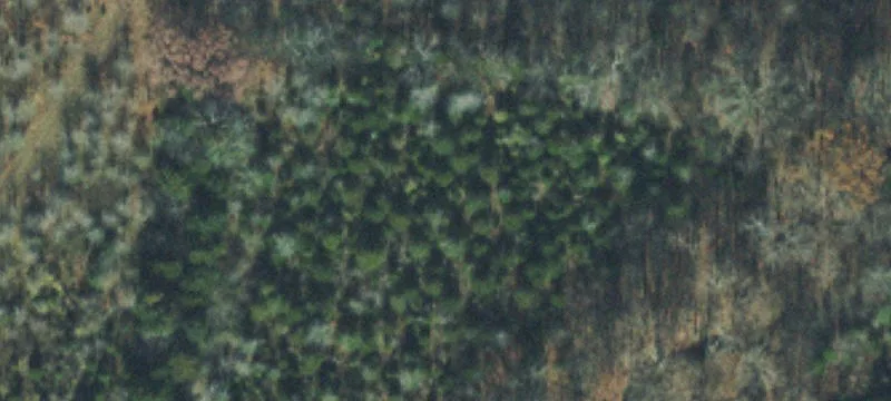 108 Acre Oasis in Tennessee