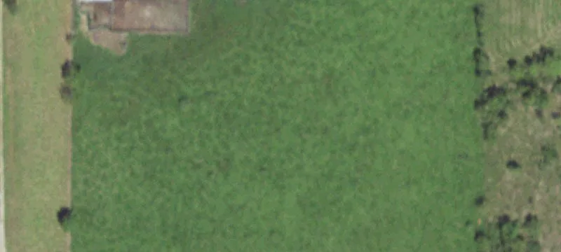 Unrestricted 10-Acre Iowa Colony Land