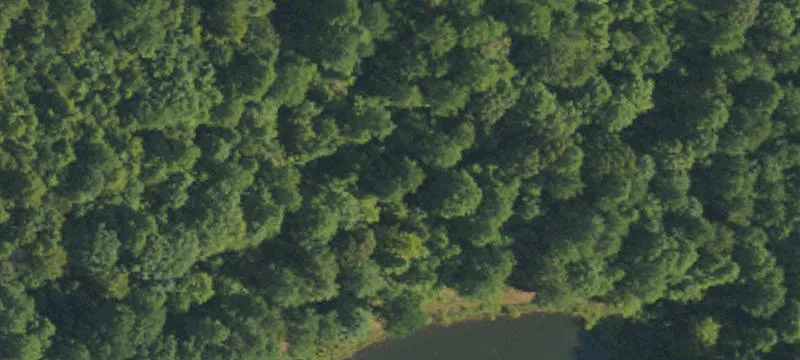 Moncure Land with Development Potential