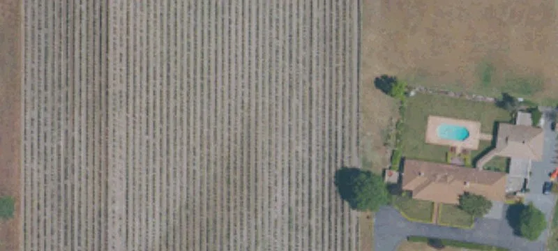 Russian River Valley Vineyard Parcel