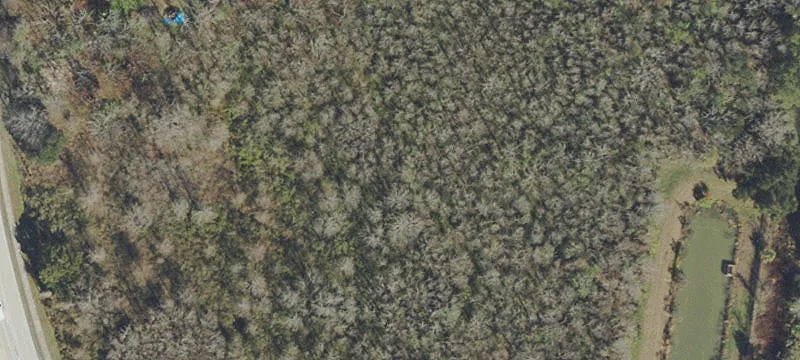 15.35 Acres on State Road