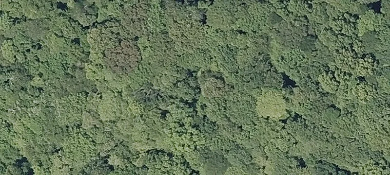 26 Acres Next to Golf