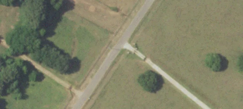 Texas Farm with Pecan Trees