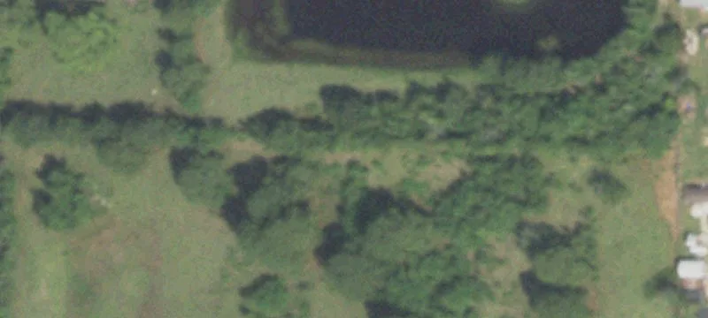 Unrestricted Land with FM 2920 Frontage