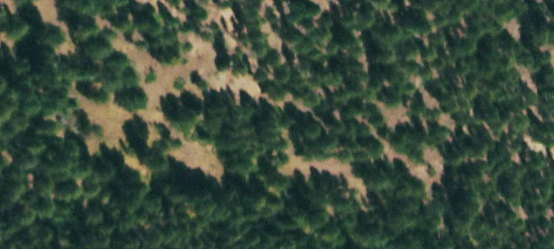 164 Acres of Rocky Mountain Land