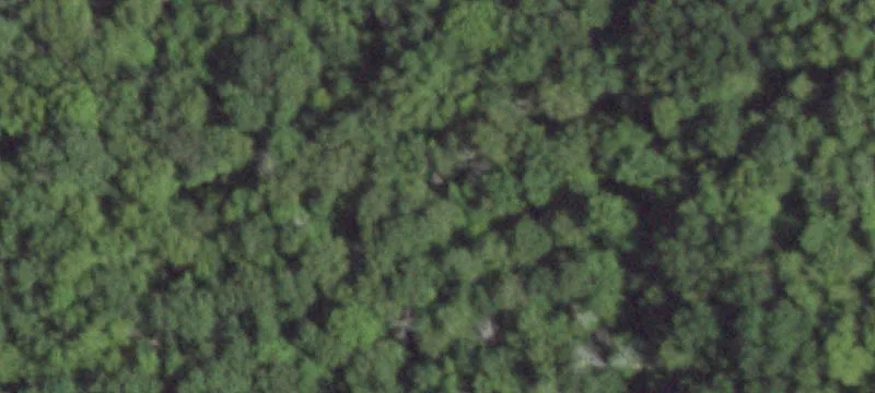 Expansive Legacy Property in Putnam County